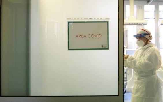 Coronavirus in Italia, il bollettino del 24 maggio: 29.875 nuovi casi, i morti sono 95